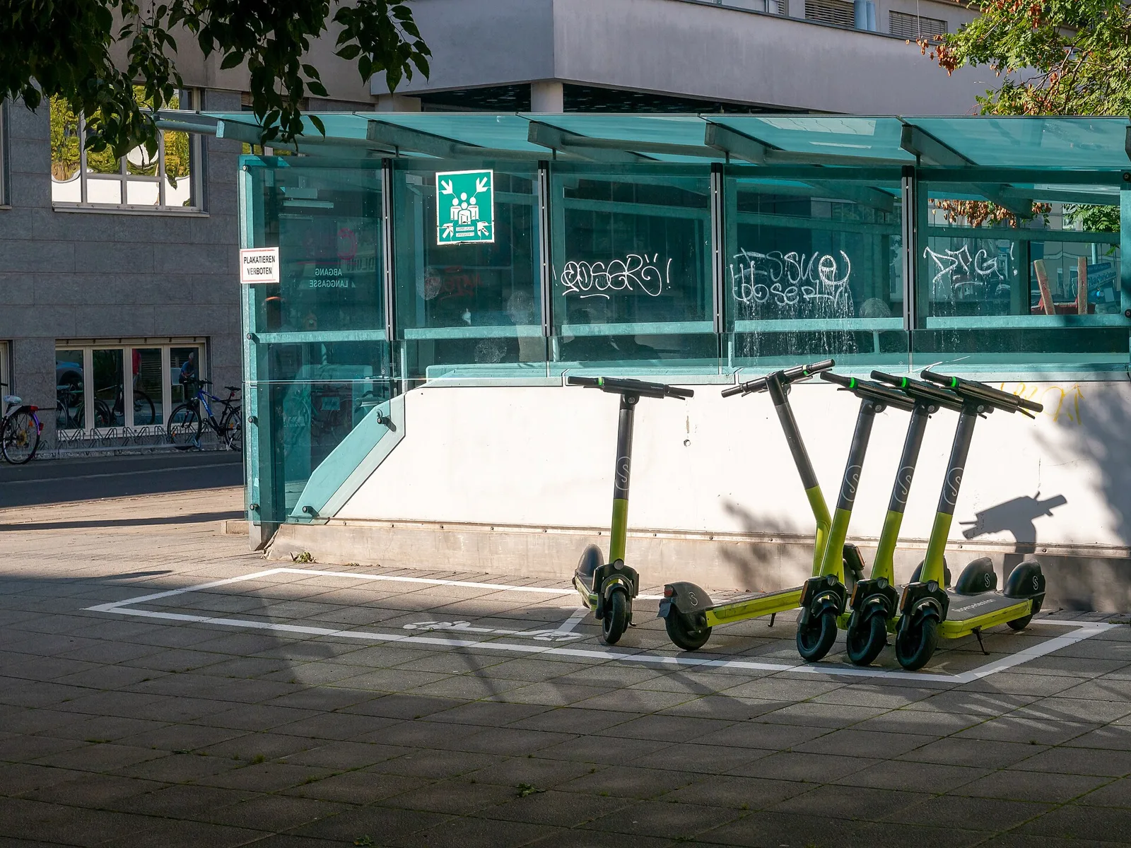 Quatre trottinettes électriques vertes garées sur un emplacement délimité devant un abri vitré en ville