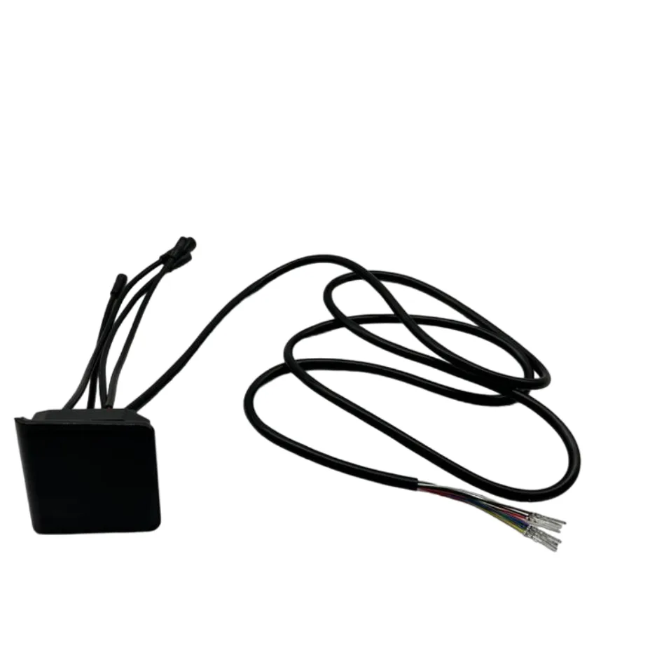 Display EY2 Dualtron TOGO 36V · 48V