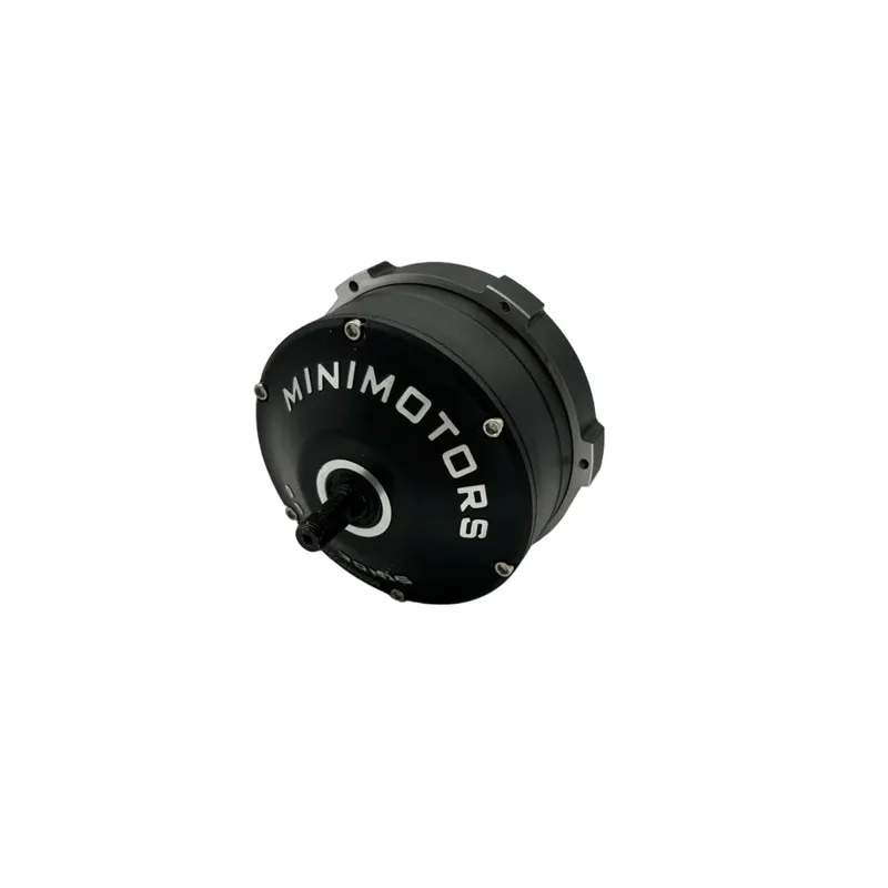 Moteur 36V – Dualtron Togo