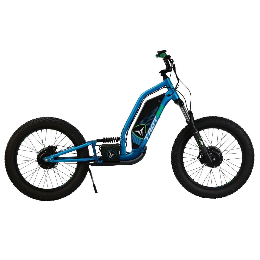 TROTRX E-Scoot 24" FS 2x750W