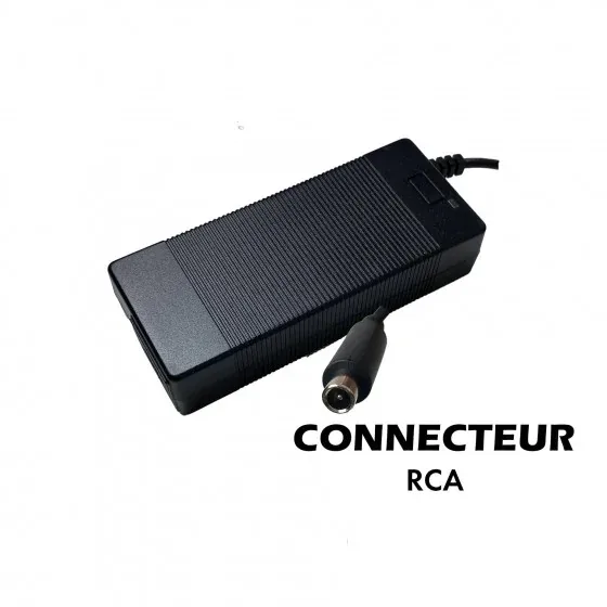Pack Chargeur 36V - 42V · 2A (connecteur RCA)