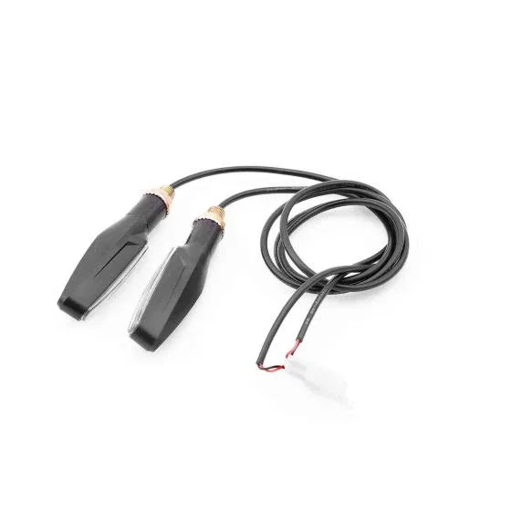 Jeu de clignotants dynamiques pour Monster · SXT