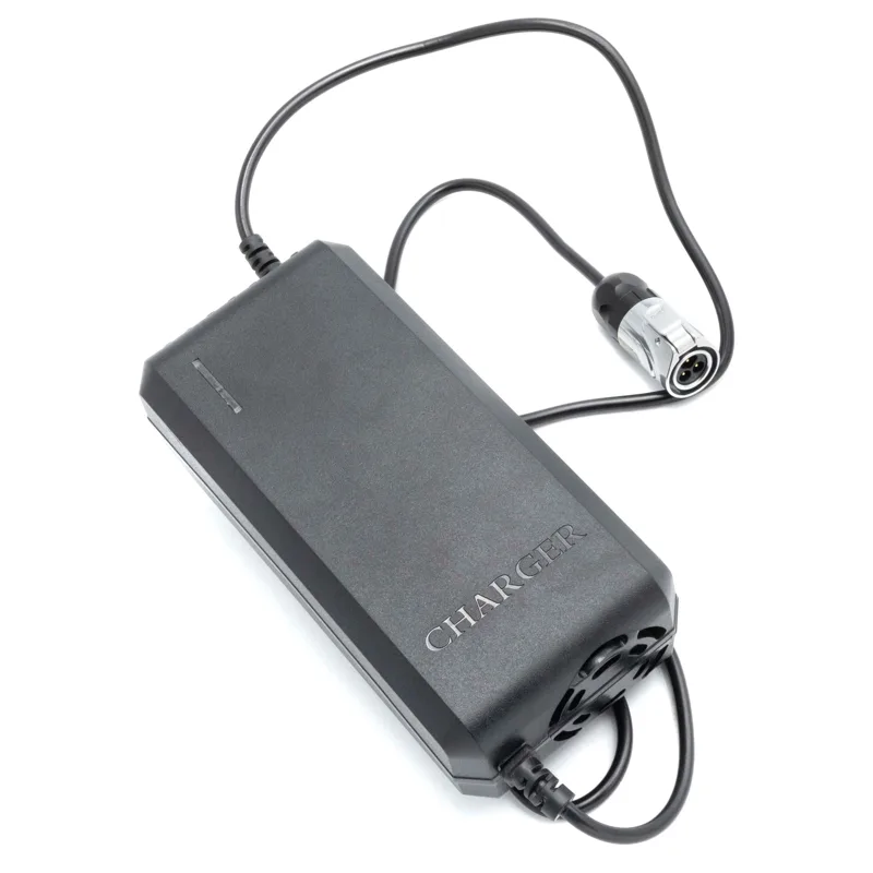 Chargeur rapide 72V Dualtron Thunder 2 8A 5A Nouvelle Version 84V