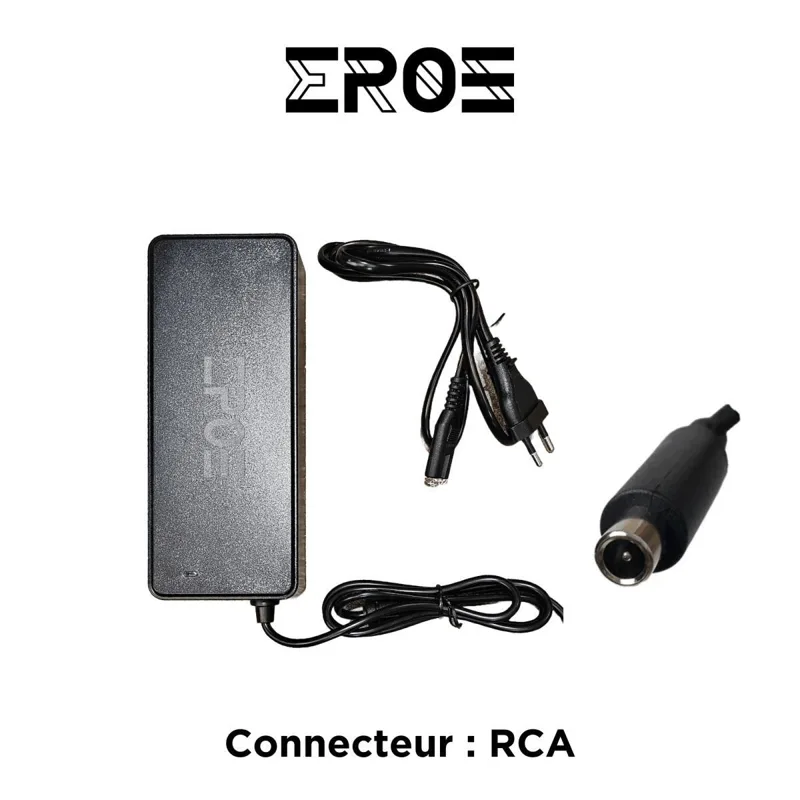 Chargeur Rapide Universel de Trottinette Électrique pour Batterie 72V