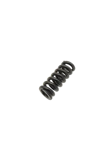 DUALTRON MINI & AMINIA · RESSORT SUSPENSION