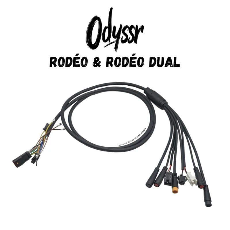 Câble principal – Odyssr Rodeo & Rodeo Dual