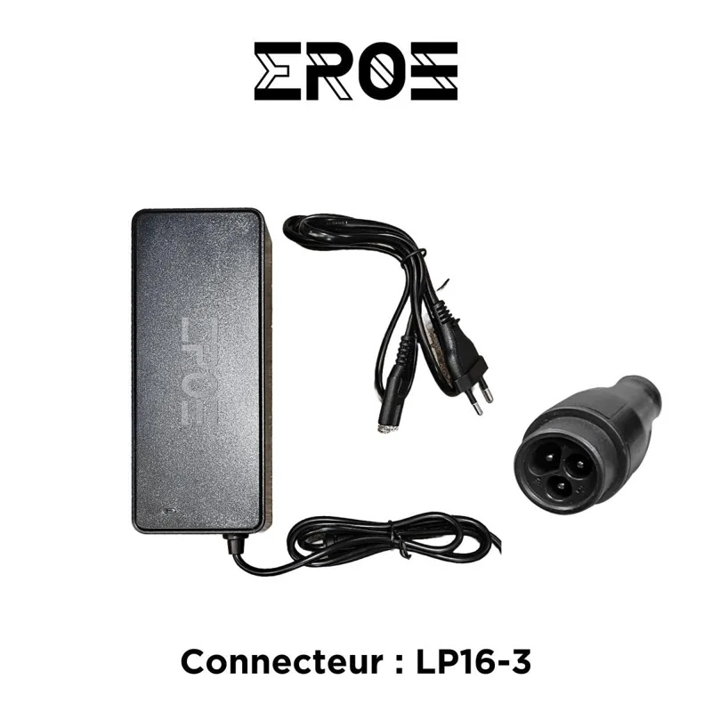 Chargeur Standard Universel de Trottinette Électrique pour Batterie 84V