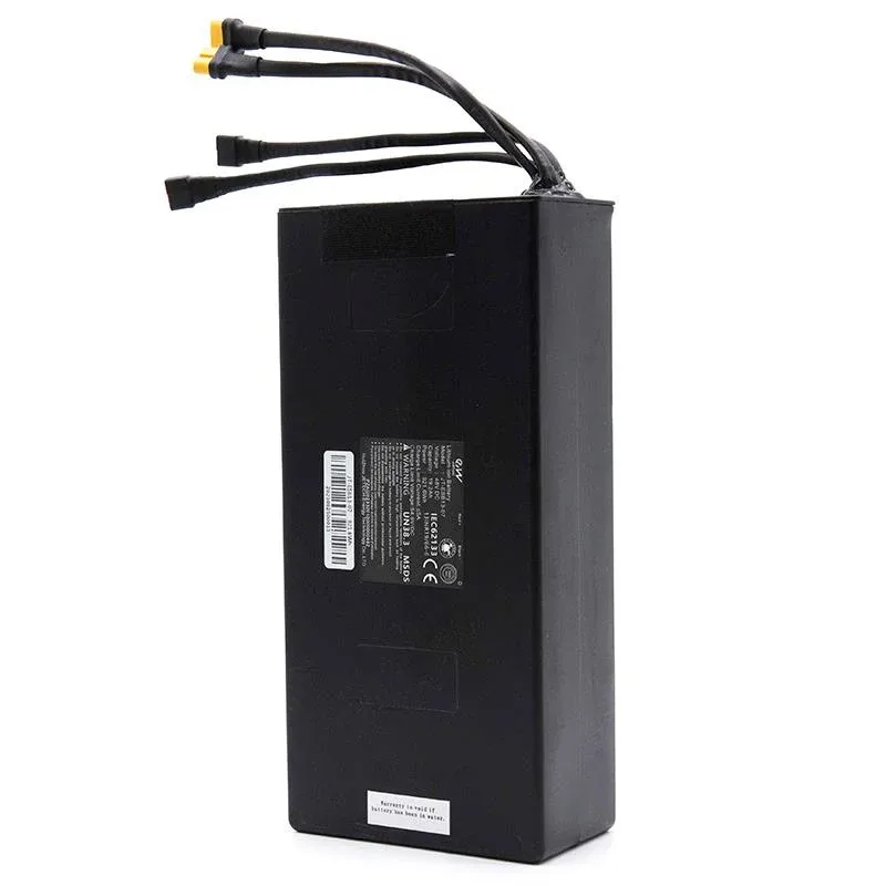 Batterie 48V 19.2 A/h pour Smartgyro Speedway [Ewheel]