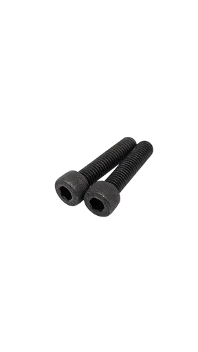 DUALTRON MINI & MINI DOUBLE MOTEUR & TOGO LTD · VIS FOURCHE AVANT (paire)