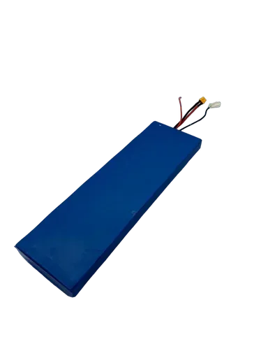DUALTRON TOGO PLUS · BATTERIE 48V15AH