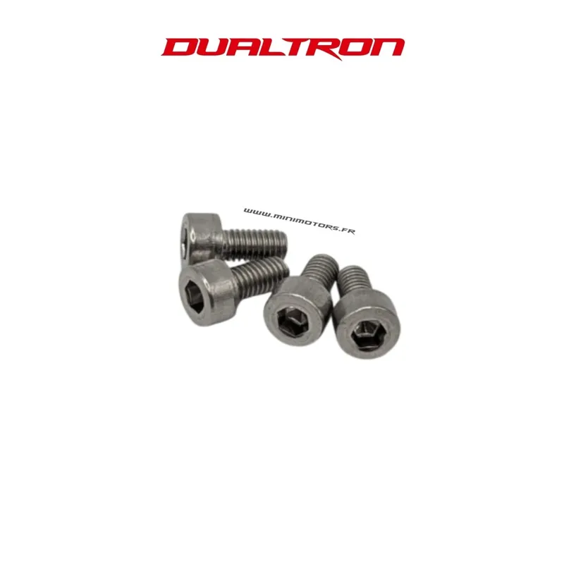 Vis de fixation contrôleur (x4) – Dualtron Victor