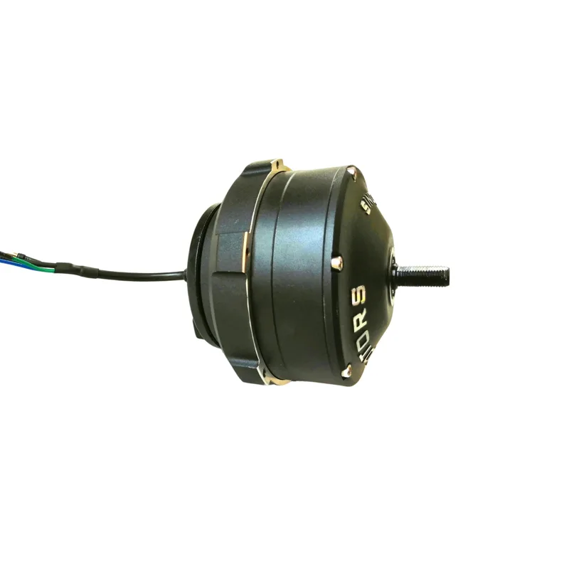 Moteur 36V Dualtron Togo
