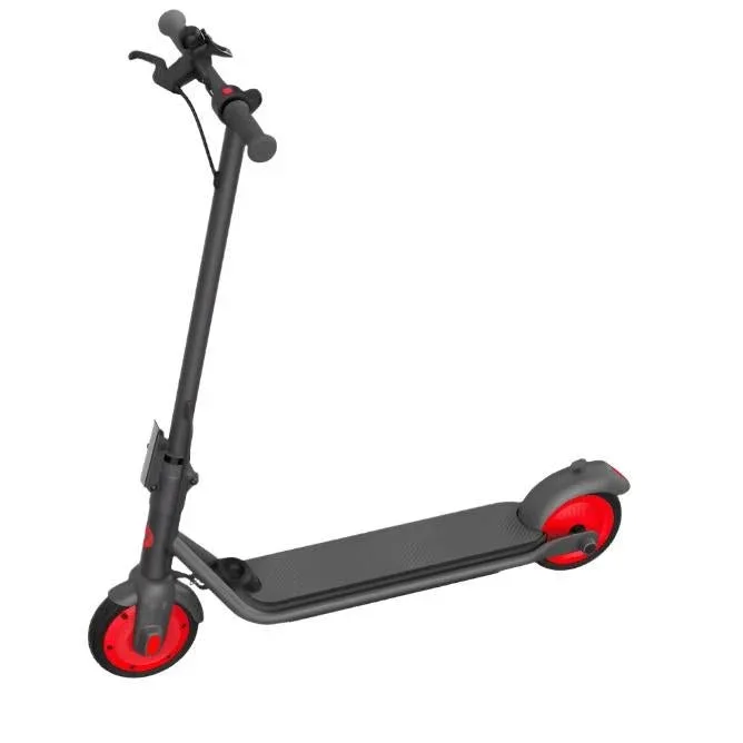 Segway-Ninebot Ninebot Zing C20