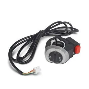 Commande lumière Argent – Inmotion P1 · P1F