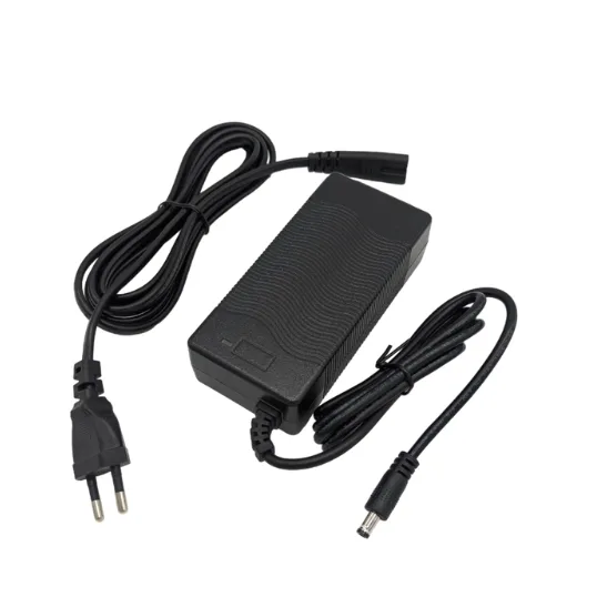 CHARGEUR DUALTRON DOLPHIN 42V 1.5A