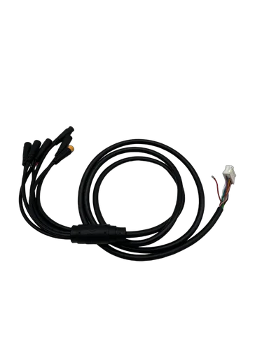 Teverun Fighter Mini 2023 · Cable Principal Pour Version Dual