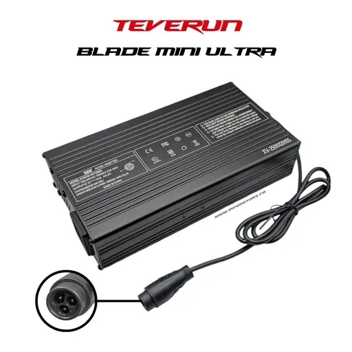 TEVERUN BLADE MINI ULTRA · CHARGEUR RAPIDE 67,2V 6A