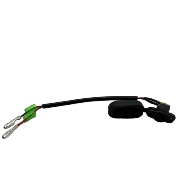 Port de charge Dualtron TOGO 36V
