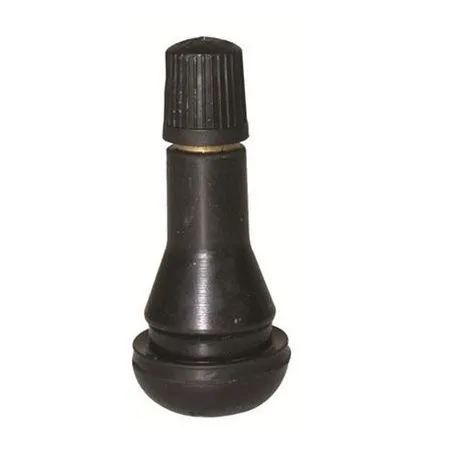 valve tubeless