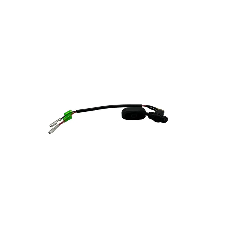 Port de charge + cache 36V – Dualtron Togo