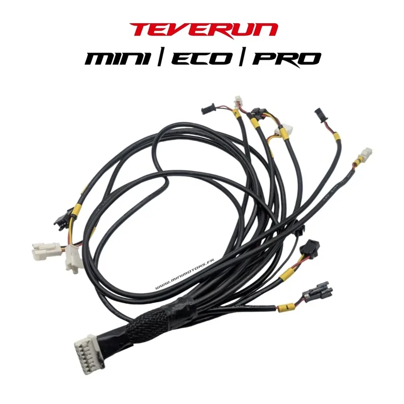 Convertisseur LED V1 2024 – Teverun Fighter Mini & compatibles