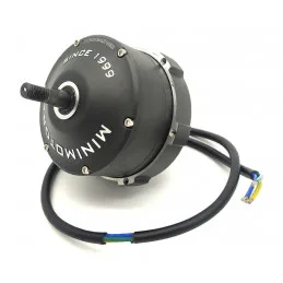 Moteur Dualtron Thunder 2