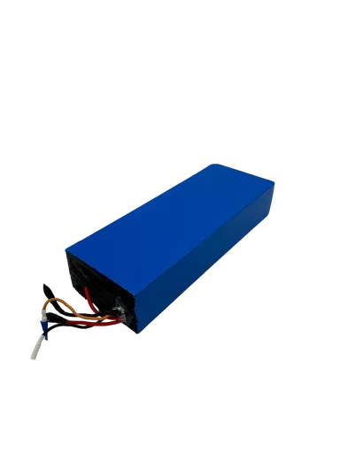 DUALTRON VICTOR LUXURY PLUS & LTD · BATTERIE 60V28AH