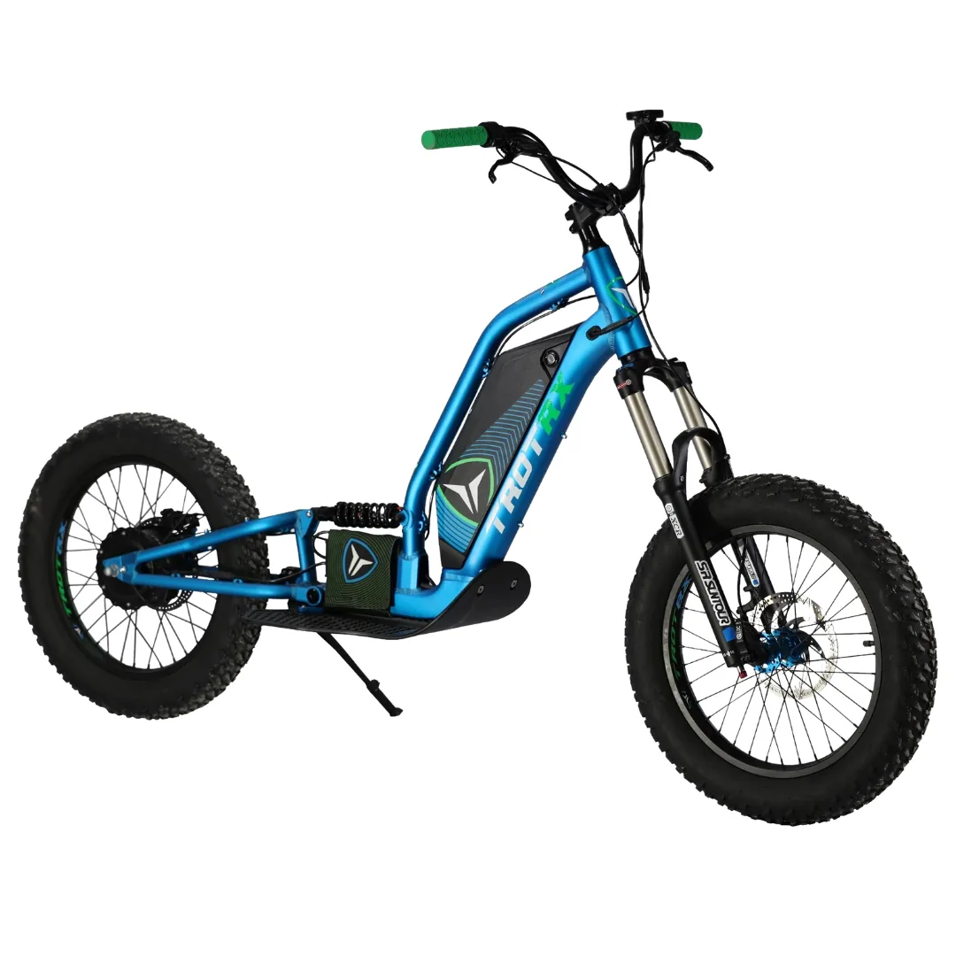 TROTRX E-Scoot 20" FS 1x750W