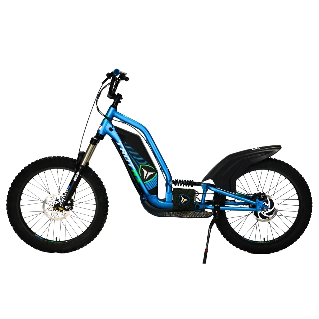 TROTRX E-Scoot 24" FS 1x750W
