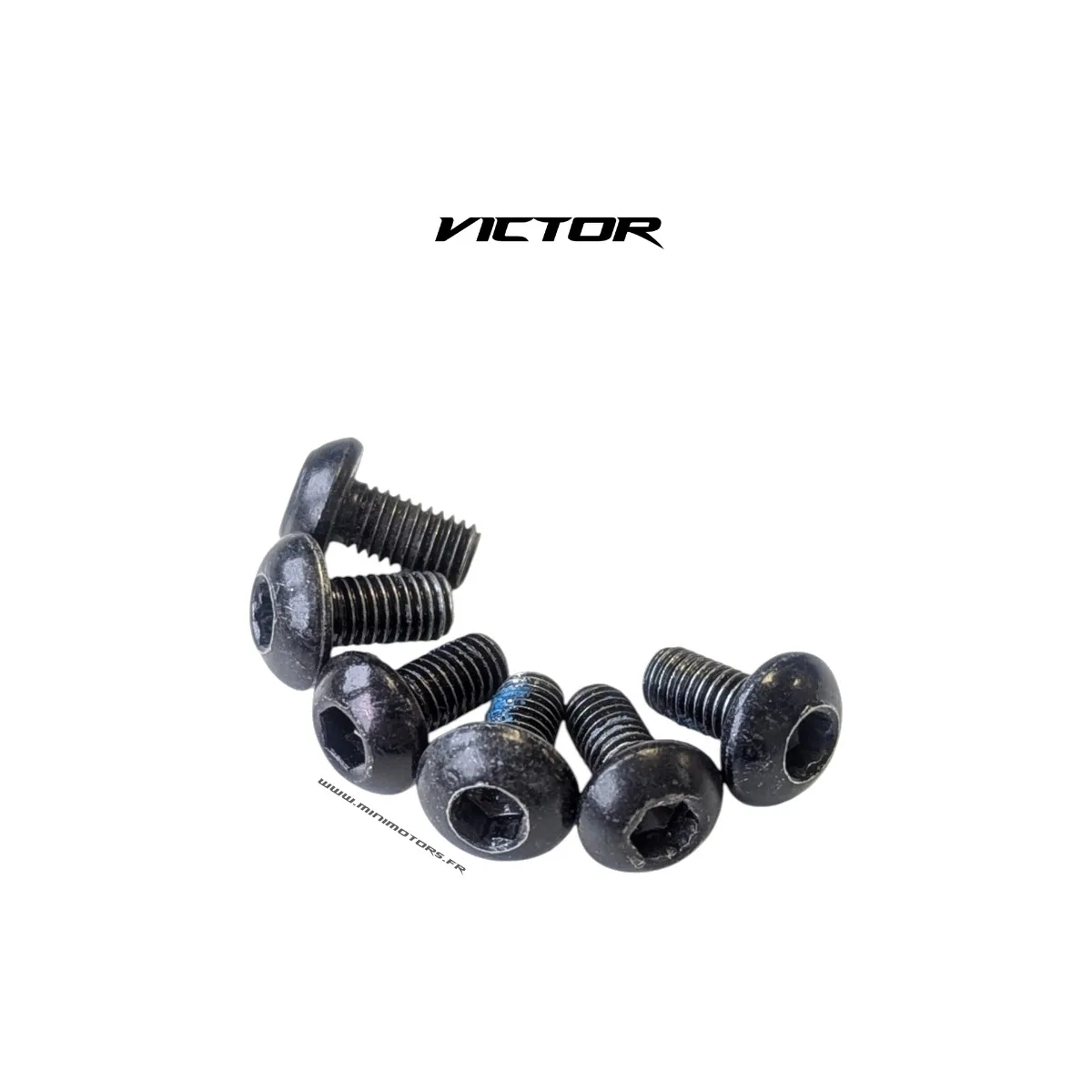 Brake Disc Screw (X6) for Dualtron Victor