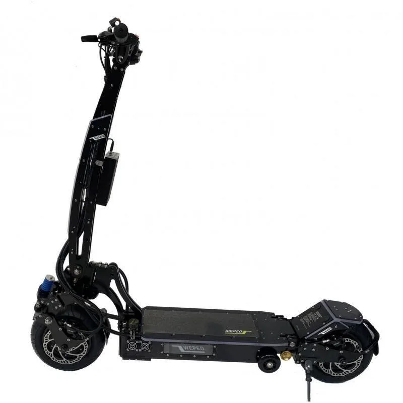Weped Fold 11
