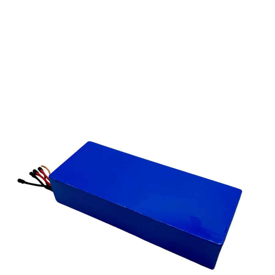 60V24AH Battery for Dualtron Victor · Luxury · Spider 2 · Forever LTD