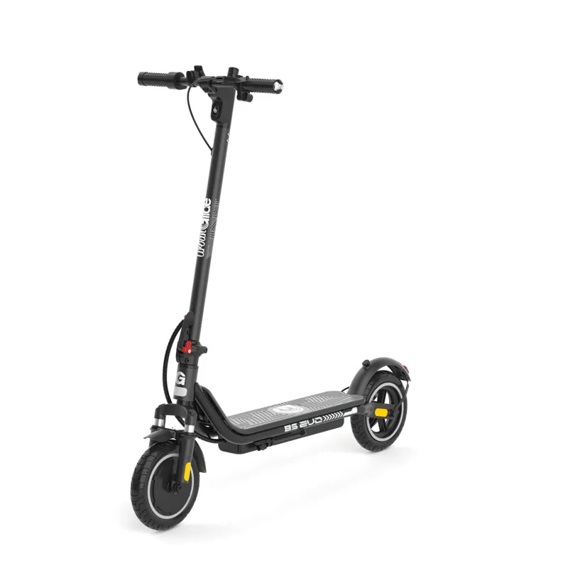 Poids 16Kg – Batterie 21.6V/10Ah – Trottinette Électrique – Pneu Gonflable