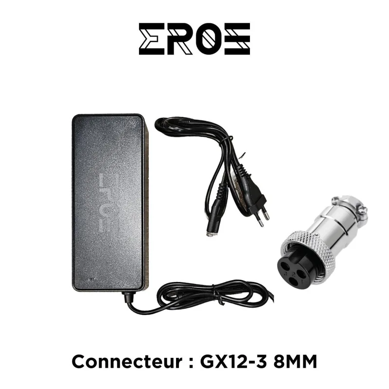 Chargeur Standard Universel de Trottinette Électrique pour Batterie 72V