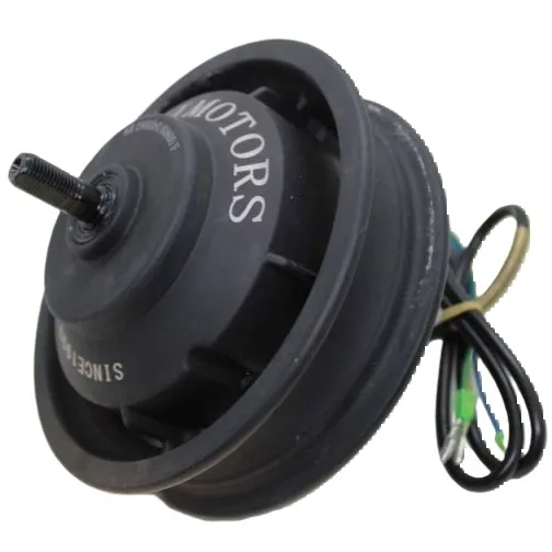 Moteurs pour Dualtron (tous les modèles)