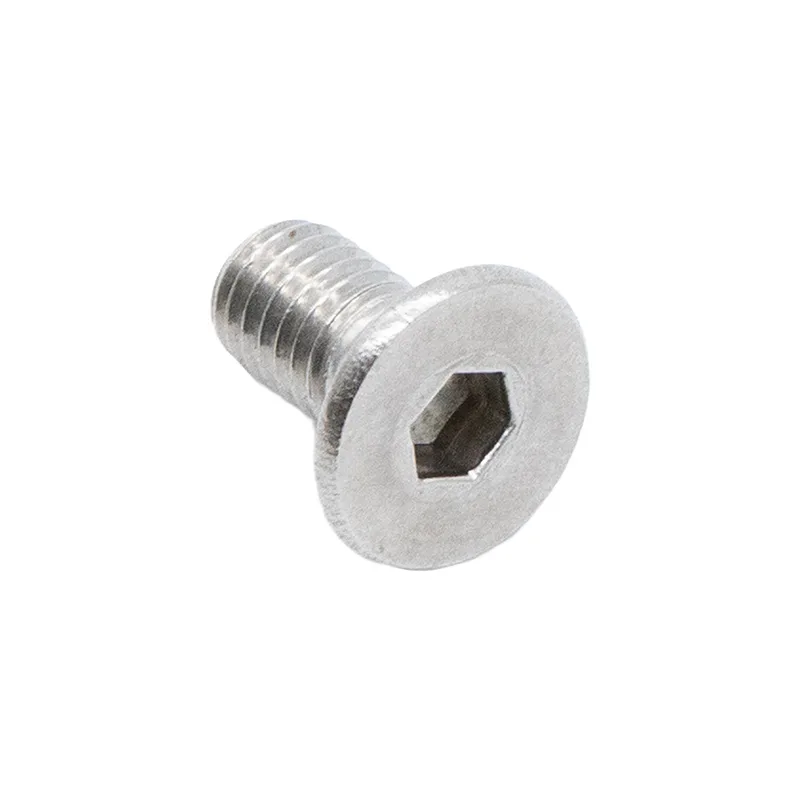 Vis inox charnière dualtron 10 pcs