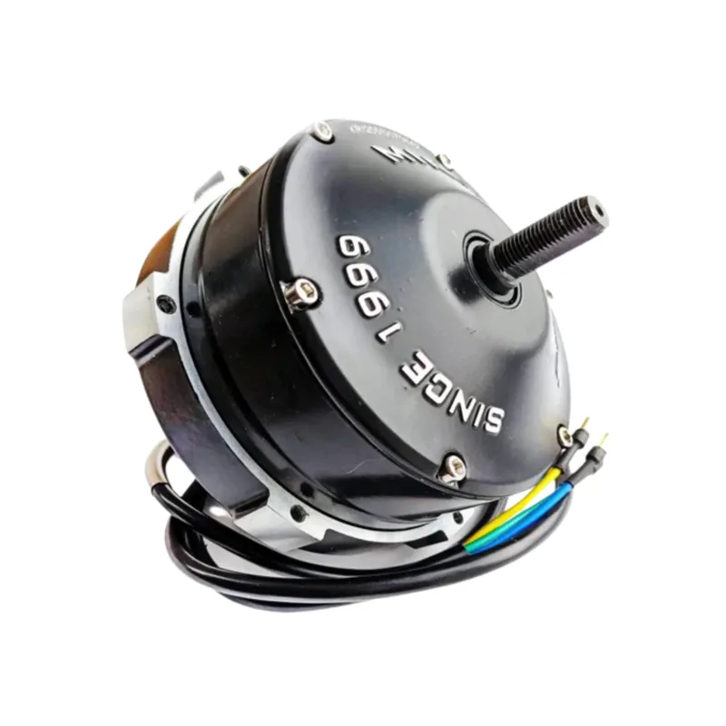 Moteur Speedway 5, Dualtron DT3, Dualtron Victor