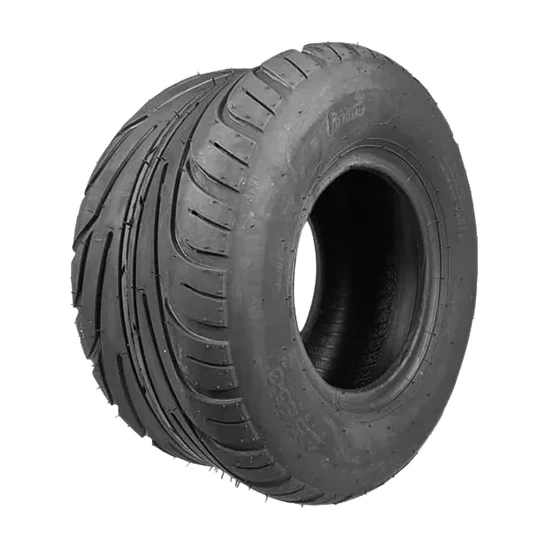 Pneu Citycoco 225/55-8