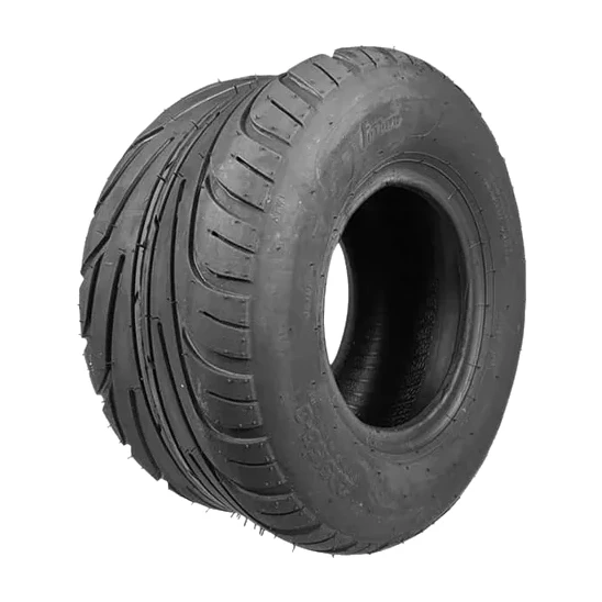 Pneu Citycoco 225/55-8