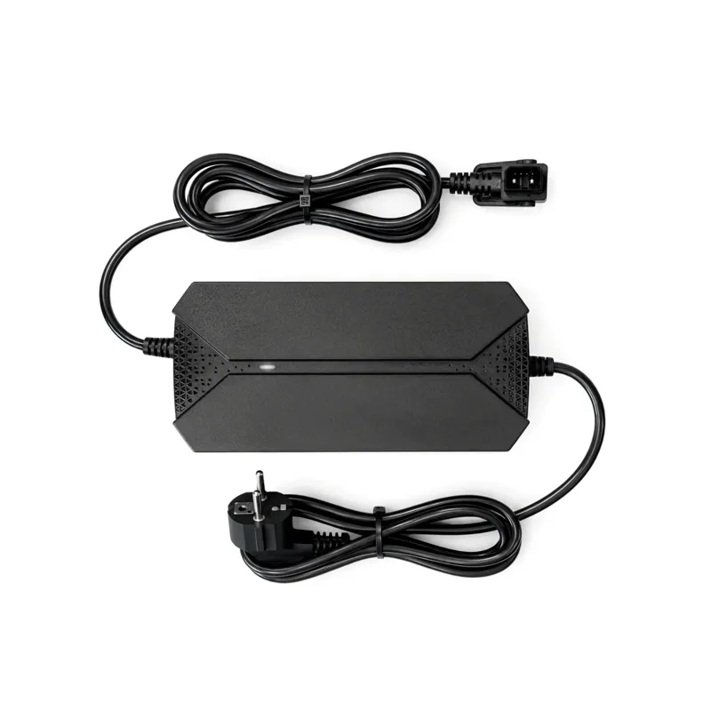 Chargeur 2A pour scooter Rider (2 broches)