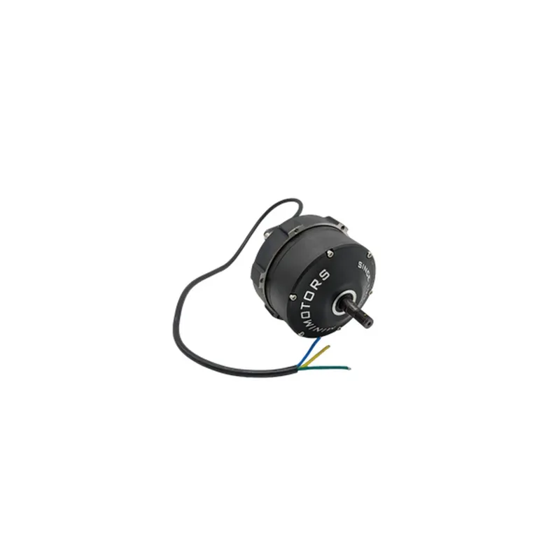 Moteur avant – Dualtron Achilleus
