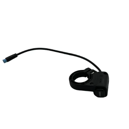 Interrupteur allumage Dualtron TOGO Limited