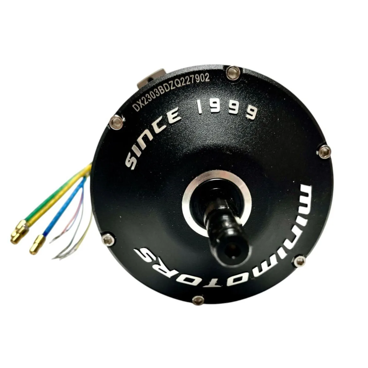 Moteurs pour Dualtron (tous les modèles)