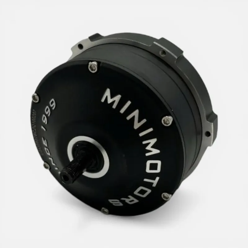 Moteur 48V – Dualtron Togo Plus